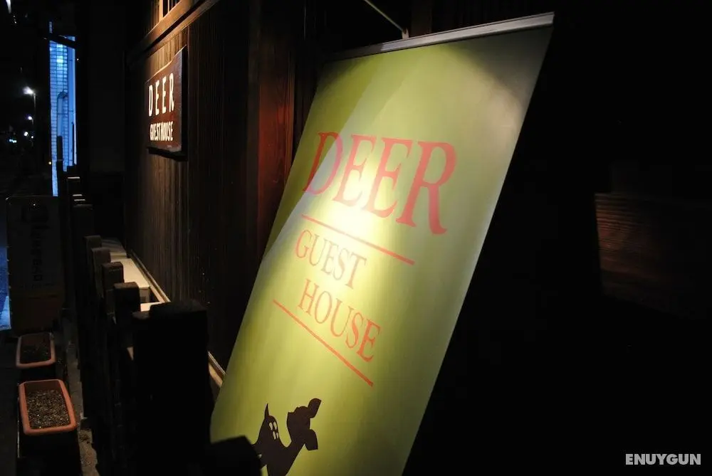 Deer Guesthouse - Hostel - Öne Çıkan Resim