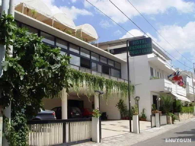 Hotel Degli Ulivi - Genel