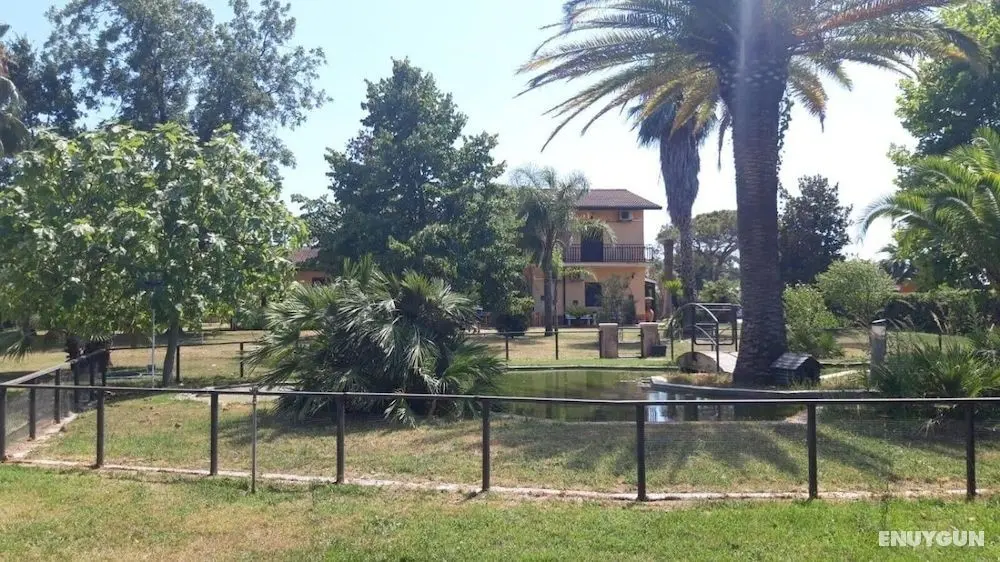 Hotel Villa dei Butteri - Dış Mekan