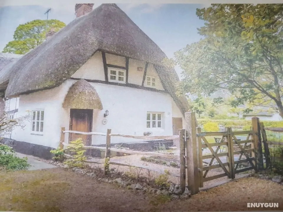 Delightful 3 bed Thatched Cottage Near Winchester - Öne Çıkan Resim