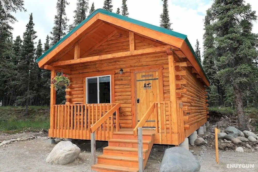 Denali Tri-Valley Cabins - Öne Çıkan Resim