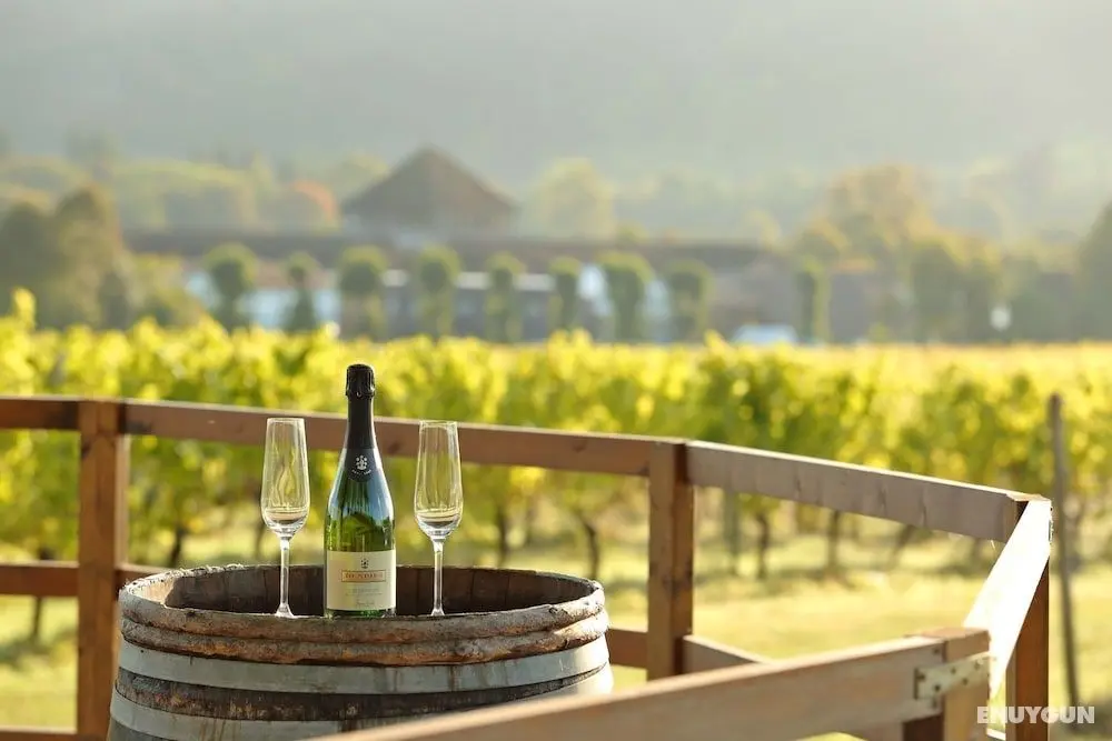 Denbies Vineyard Hotel - Öne Çıkan Resim