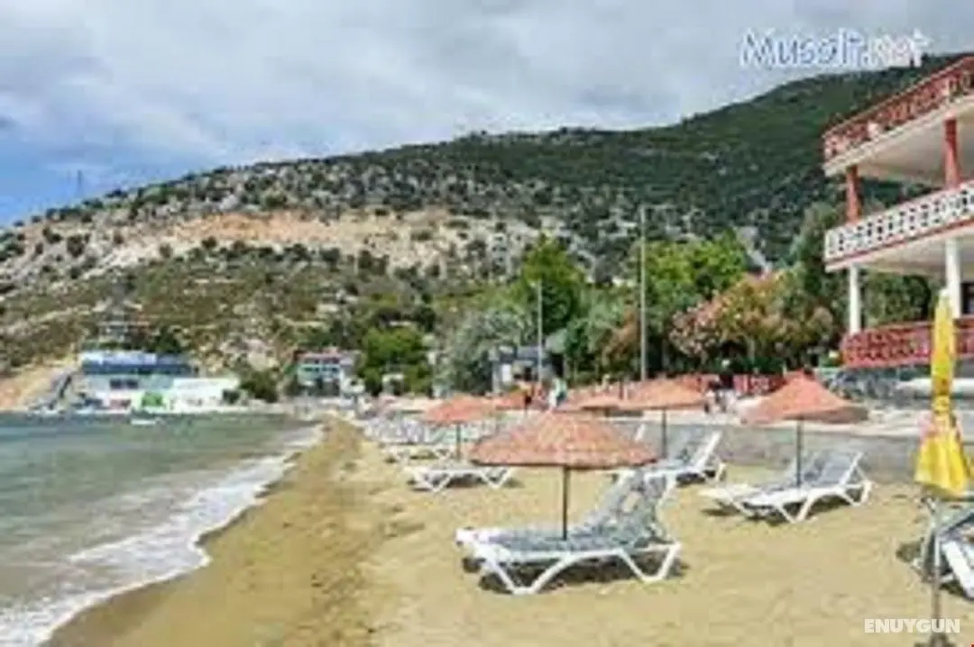Deniz Yıldızı Tatil Koyu - Plaj