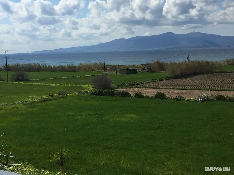 Depis Bay Apartments - Konum Öne Çıkanlar