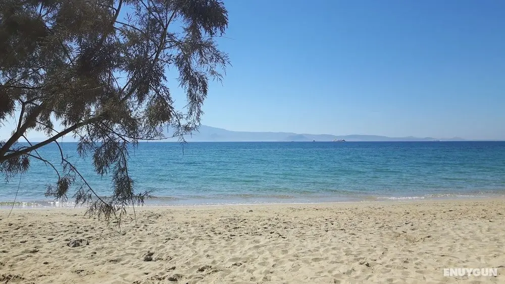 Depis Beachfront Villas - Öne Çıkan Resim