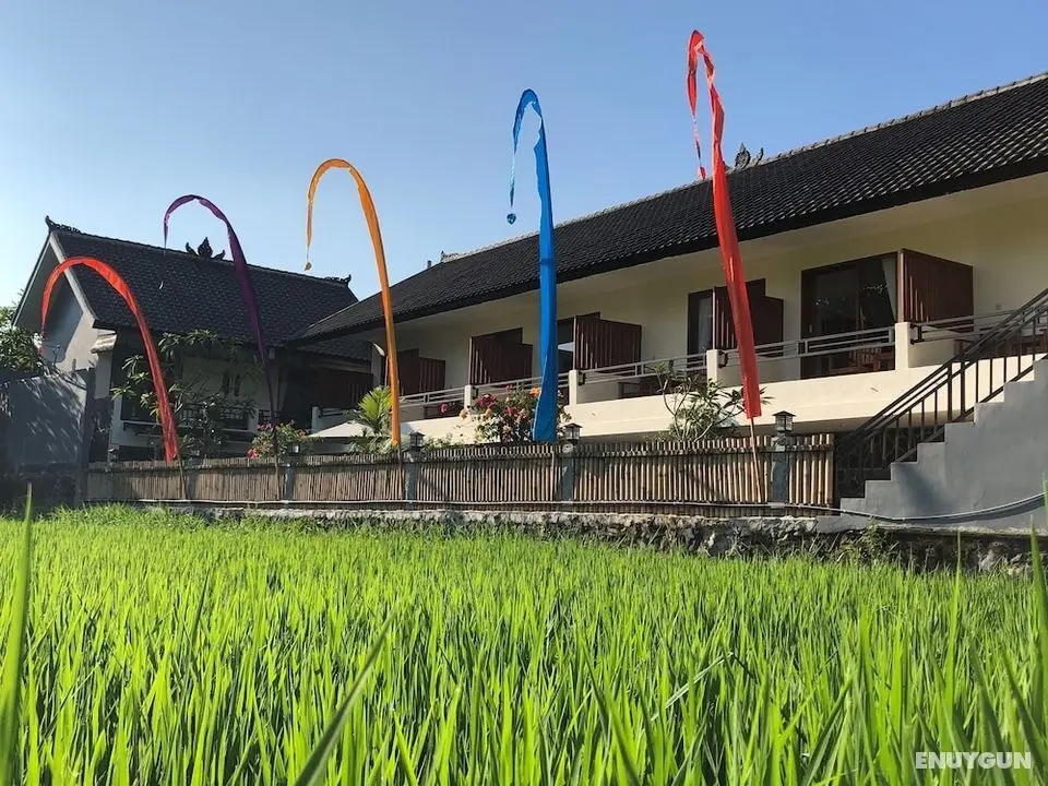 DeRose Guest House Canggu Bali - Öne Çıkan Resim