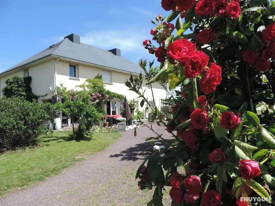 Villa des Hortensias - Öne Çıkan Resim