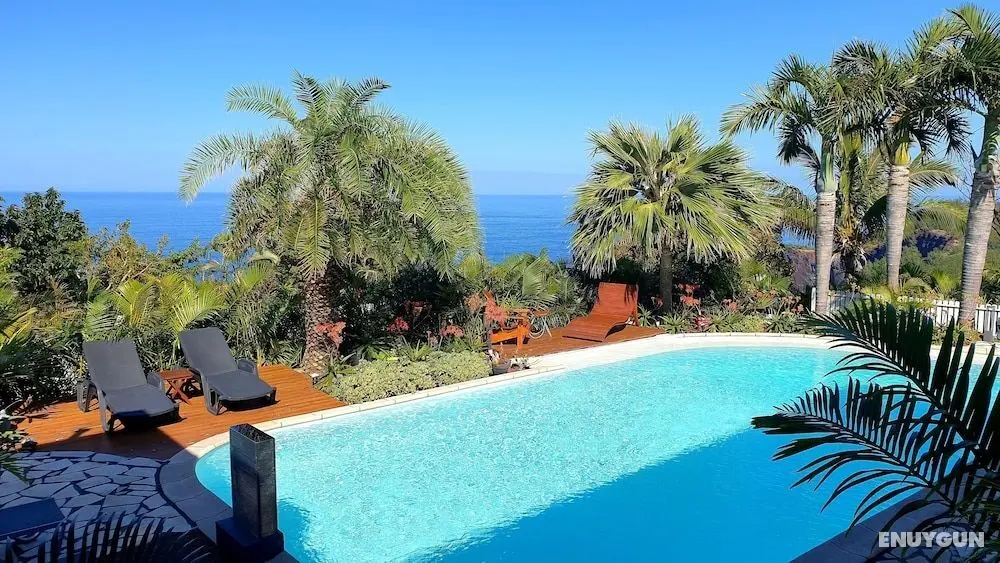 Villa Des Mascareignes - Öne Çıkan Resim