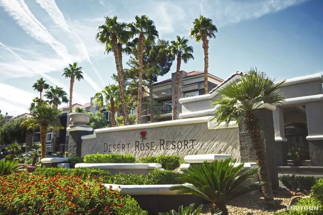 Desert Rose Resort - Genel