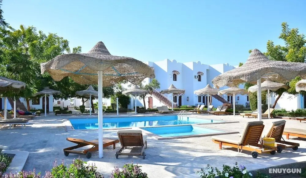 Desert View Sharm Hotel - Öne Çıkan Resim