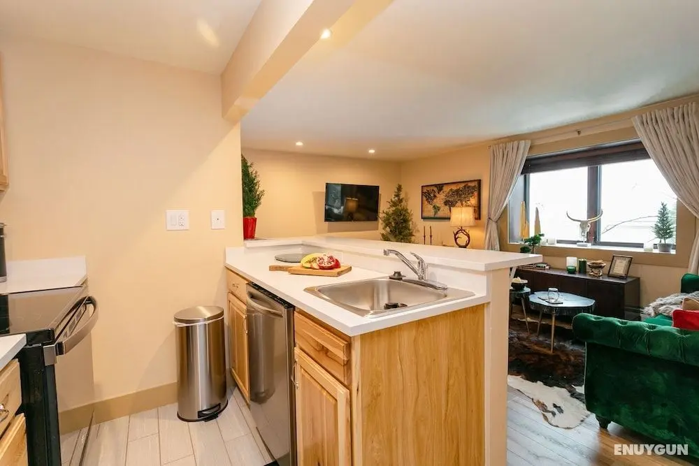 Designer Newly Renovated 1BR in Aspen - Öne Çıkan Resim