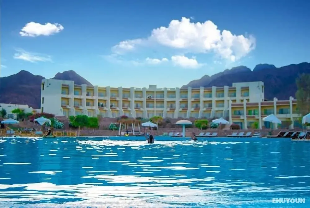 Dessole Holiday Taba - Havuz