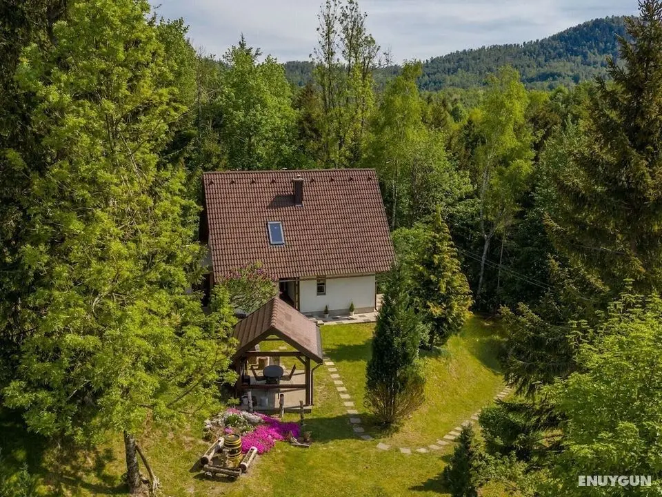 Detached House at 100m Distance of the Lake, Surrounded by Beautiful Nature and With BBQ - Öne Çıkan Resim