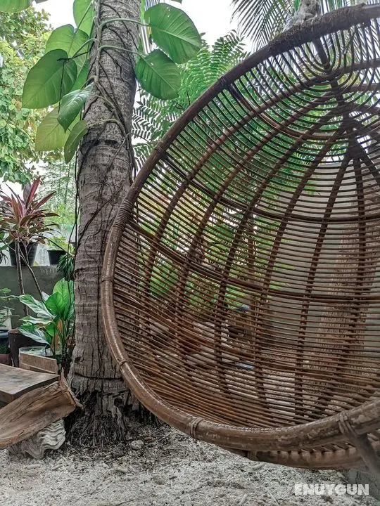 Dhoadhi Retreat - Lobi