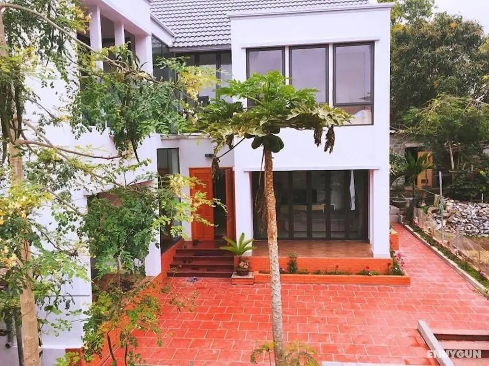 D'Home Homestay Cat Ba - Öne Çıkan Resim