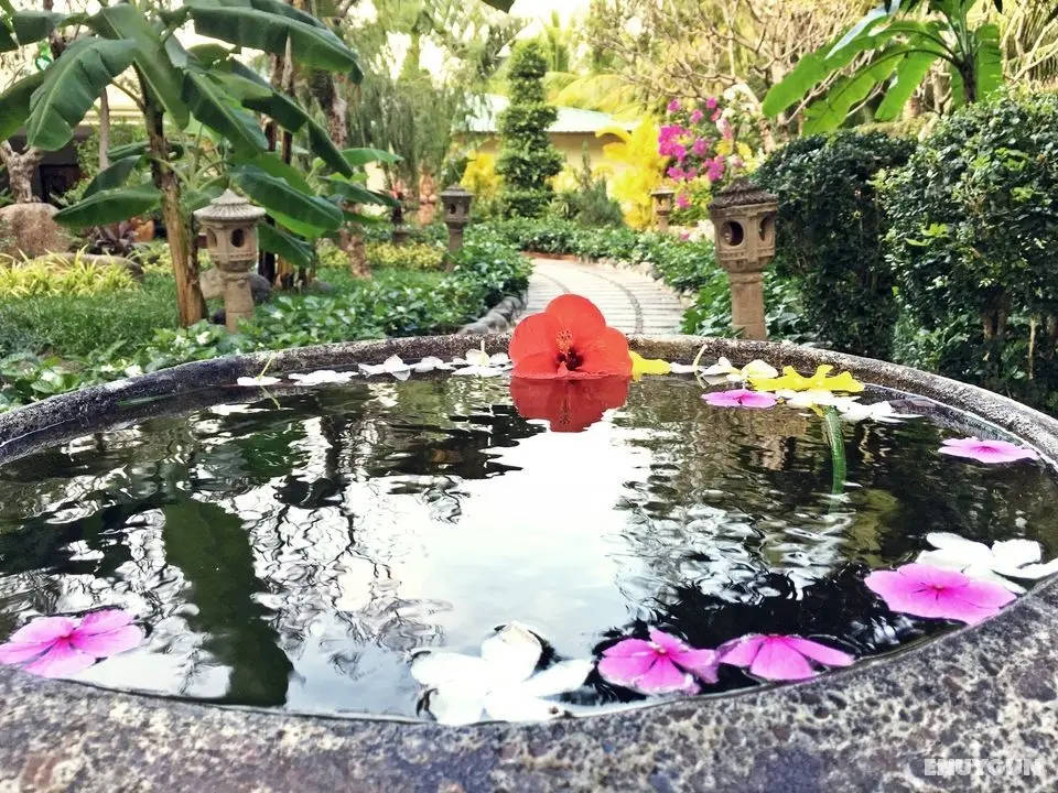 Diamond Bay Resort & Spa - Genel