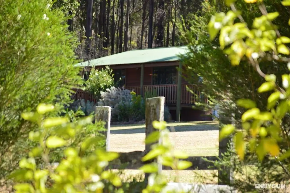 Diamond Forest Farm Stay - Öne Çıkan Resim