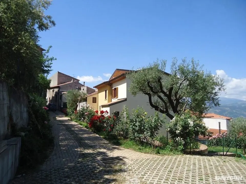 Dianum Villa degli Ulivi - Öne Çıkan Resim