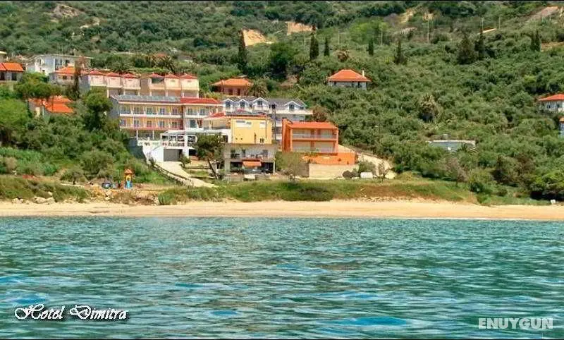 Dimitra - Genel