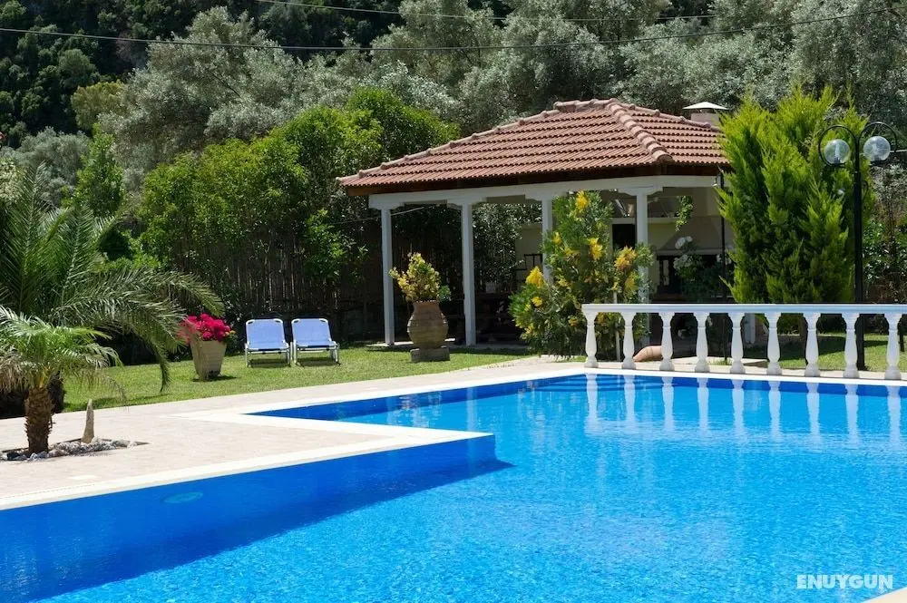 Villa Dimitris Apartments & Bungalows - Öne Çıkan Resim