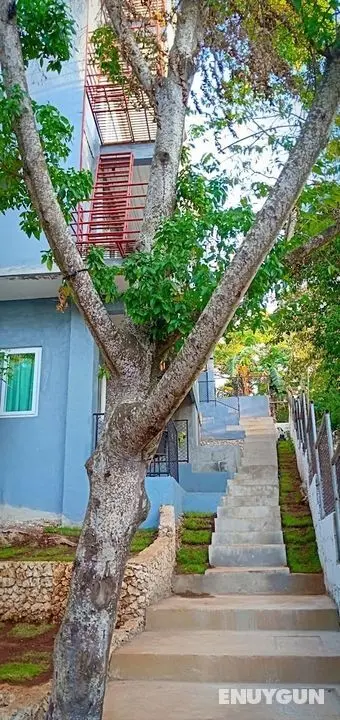 Dinihills Apartments Boracay - Öne Çıkan Resim