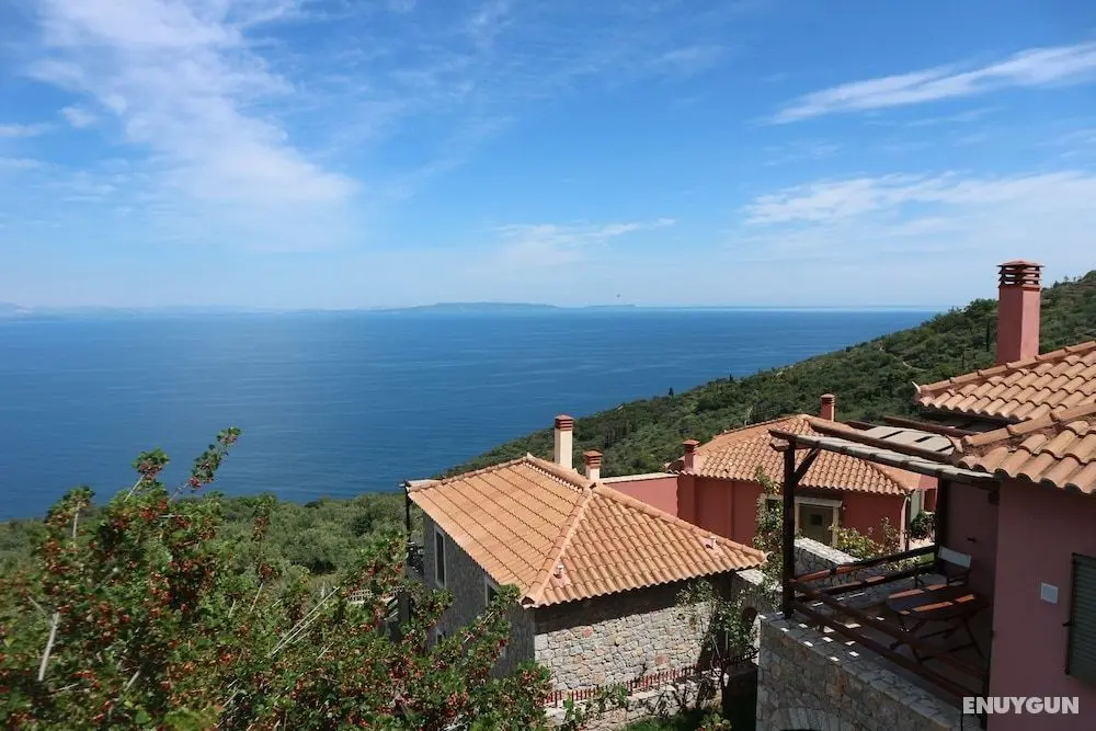 Dio Guesthouses - Öne Çıkan Resim