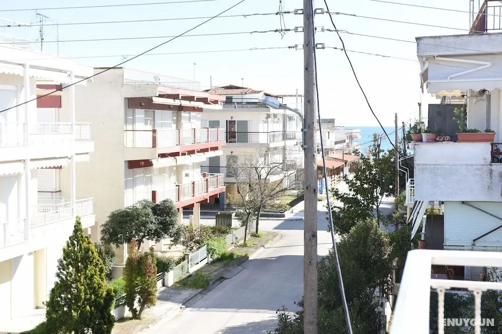 Dionisos Elia - Oda Manzaraları