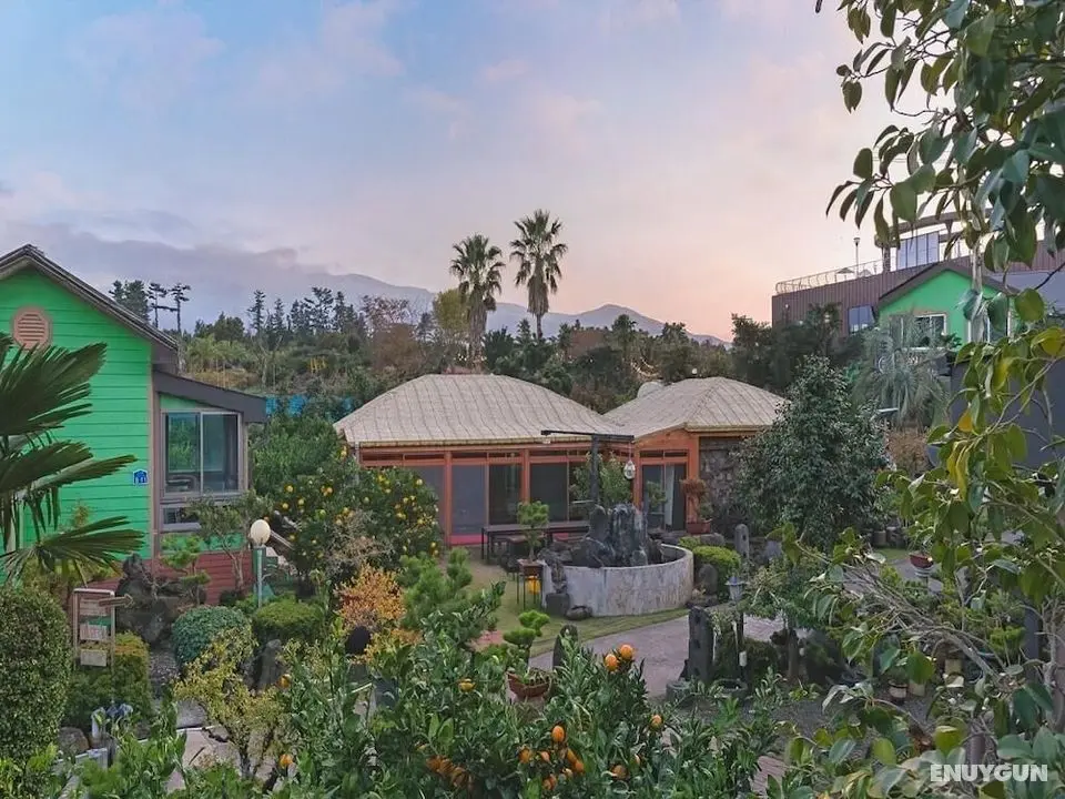 Diorem Pension - Dış Mekan