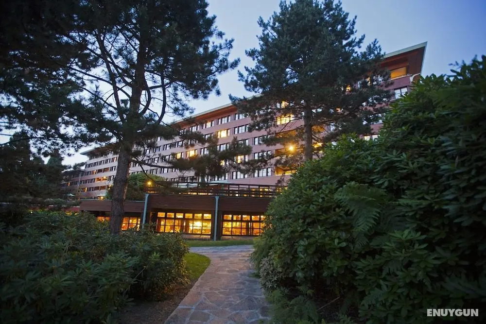 Disney Sequoia Lodge - Öne Çıkan Resim