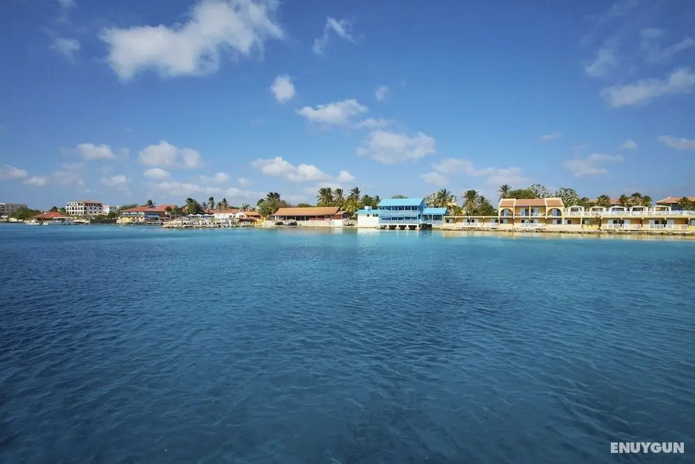 Divi Flamingo Beach Resort & Casino - Öne Çıkan Resim