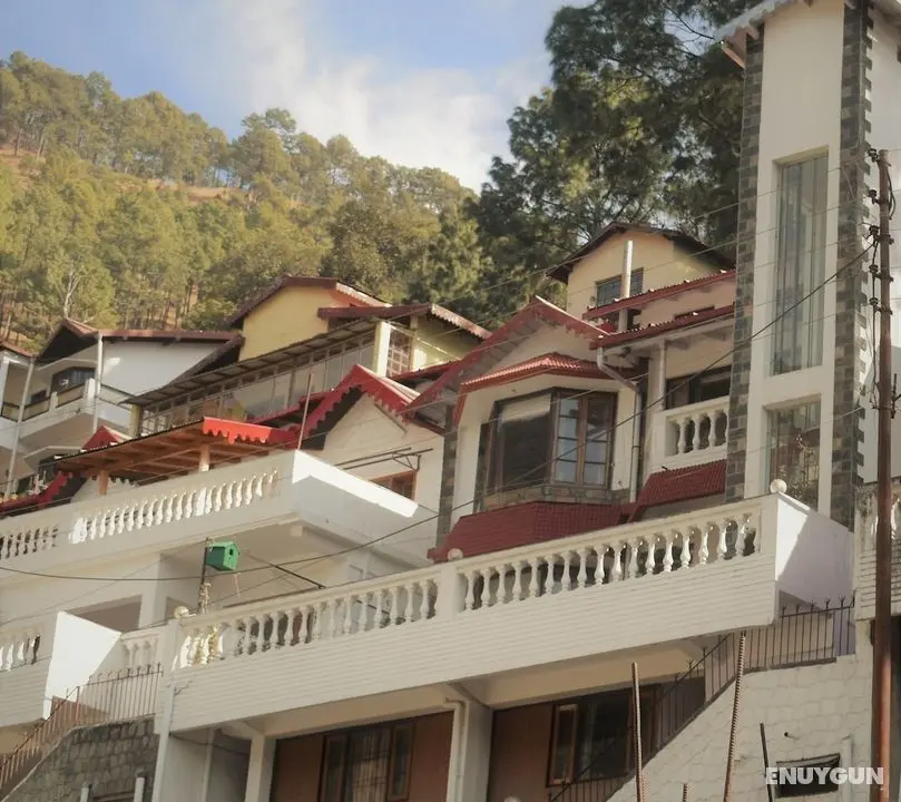 Divy Himalayan Retreat - Dış Mekan