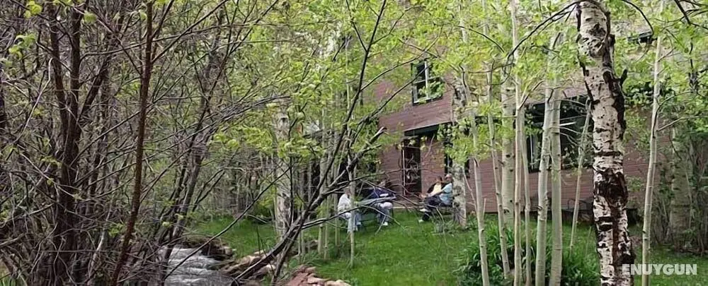 Dodgeton Creek Inn - Öne Çıkan Resim