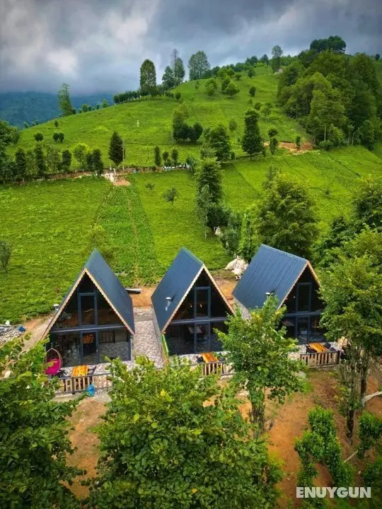Doğal Life Bungalov - Genel