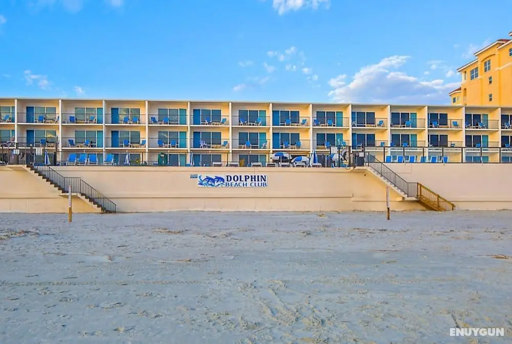 Dolphin Beach Club - Öne Çıkan Resim