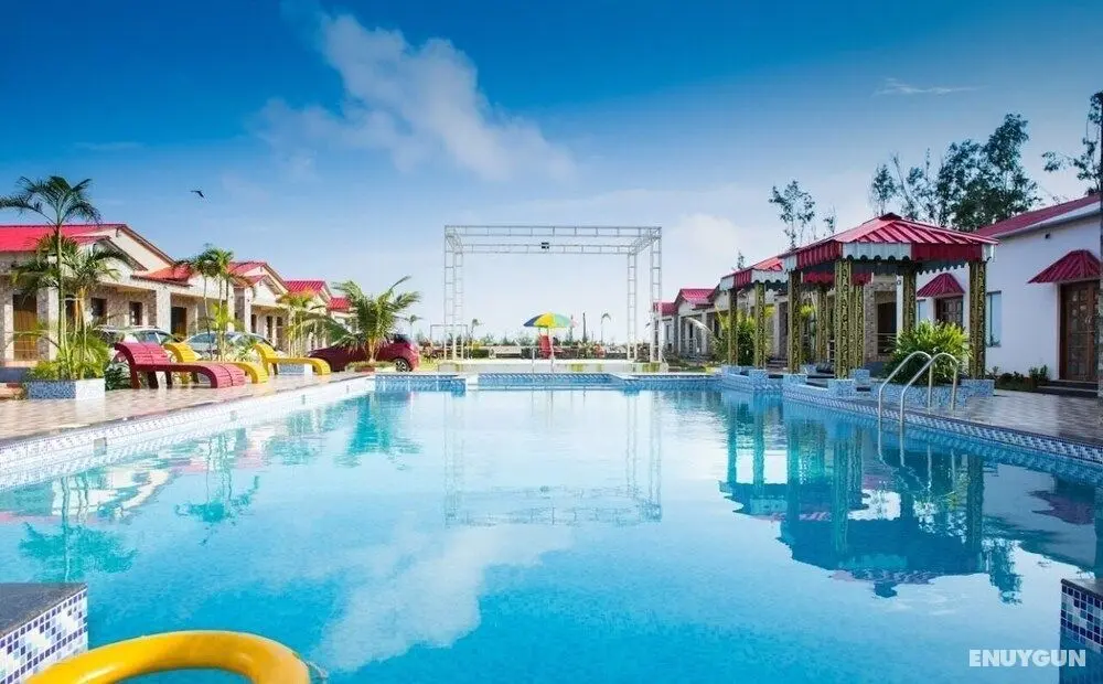 Dolphin Beach Resort - Havuz