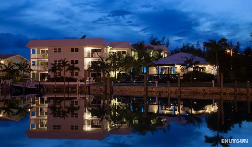 Dolphin Cove - Adults Only - Öne Çıkan Resim