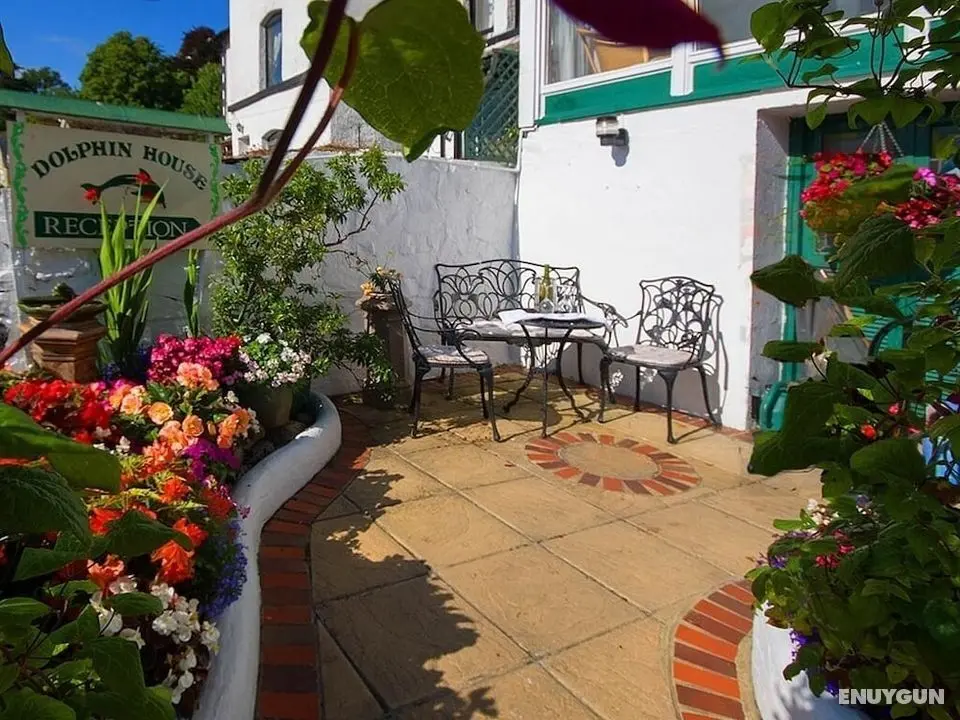 Dolphin Guest House - Dış Mekan