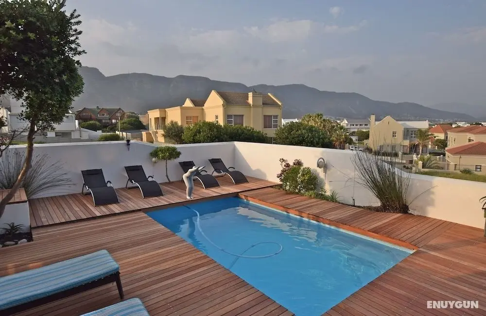 Dolphin House Apartments - Öne Çıkan Resim