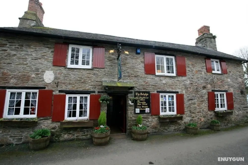 The Dolphin Inn - Öne Çıkan Resim