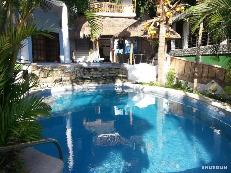 Dolphinbay Beachfront & Dive Resort - Öne Çıkan Resim
