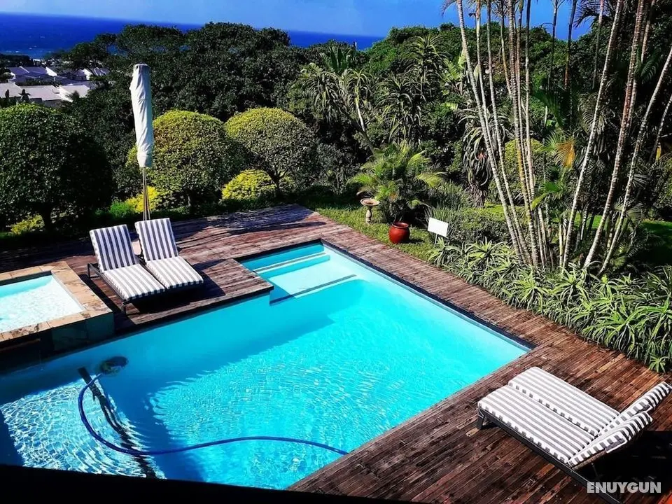 Dolphins Guest House Umhlanga - Havuz