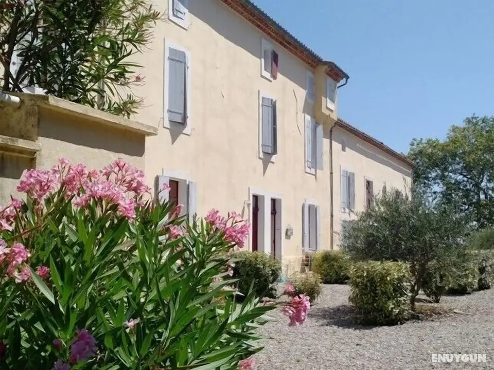 Domaine de la Petite Tour - Öne Çıkan Resim