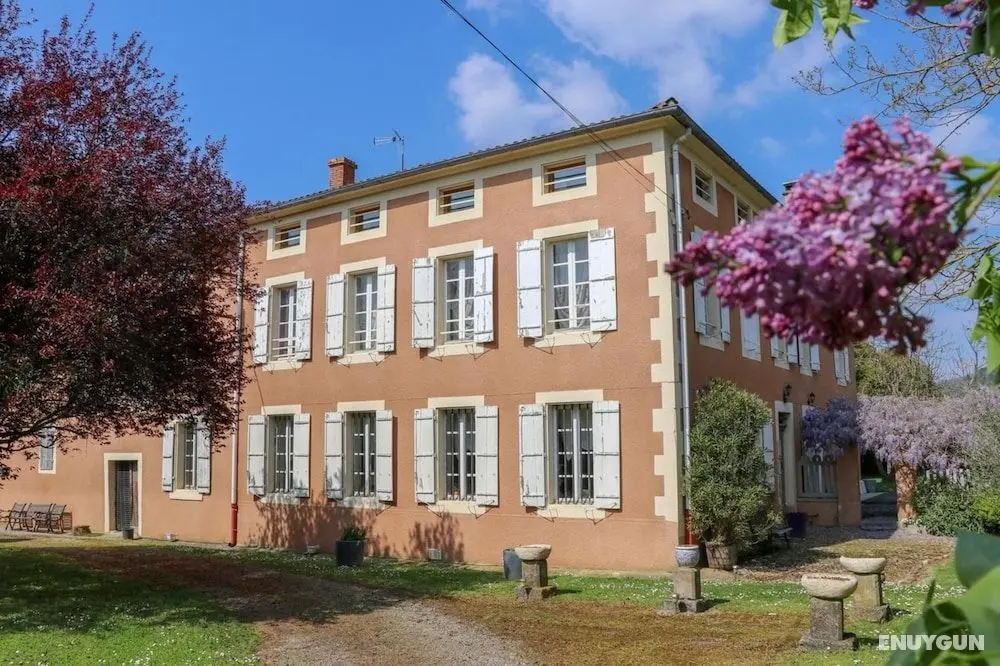 Domaine de Marlas B&B - Öne Çıkan Resim
