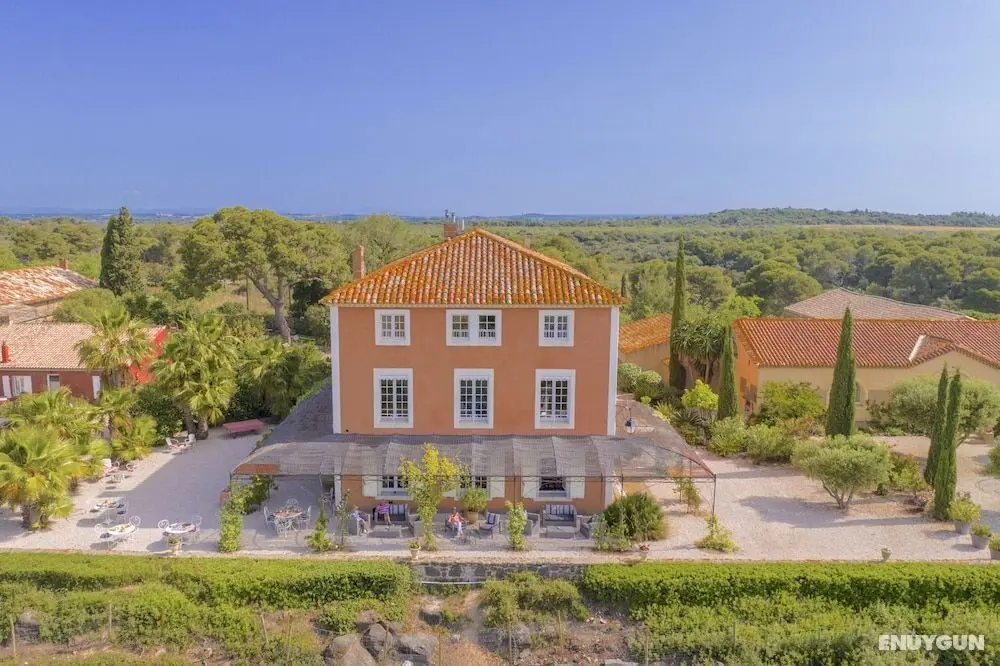 Domaine de Roque Haute - Öne Çıkan Resim