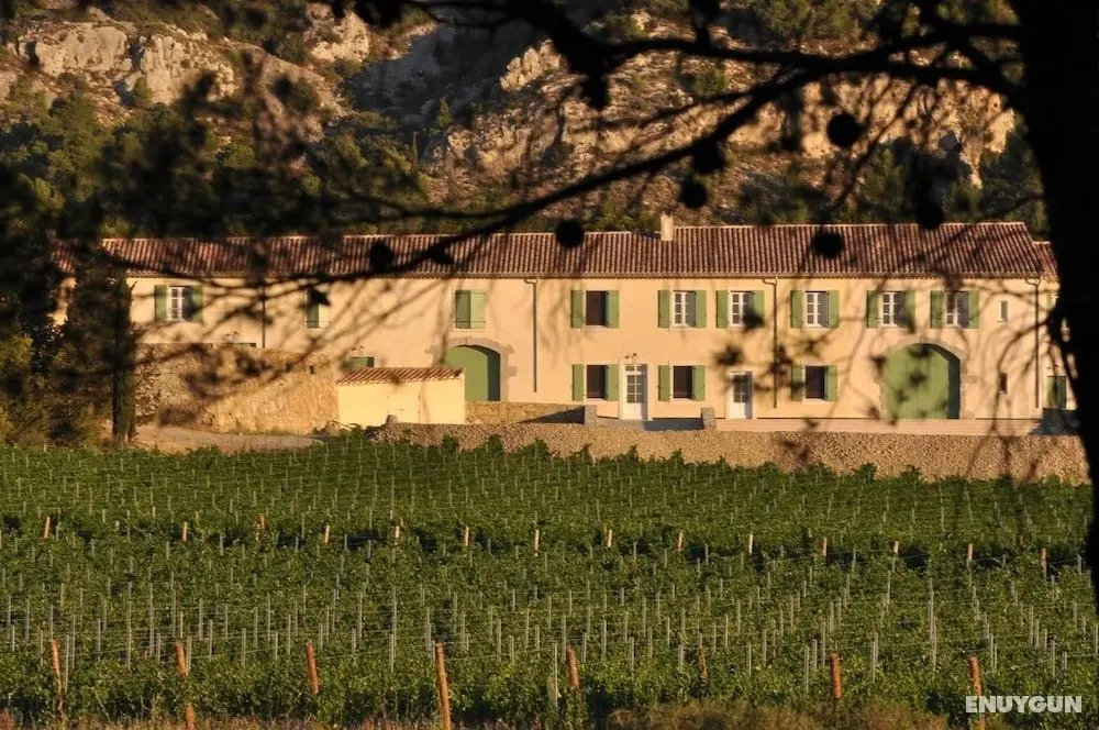 Domaine de Saint-Obre - Öne Çıkan Resim