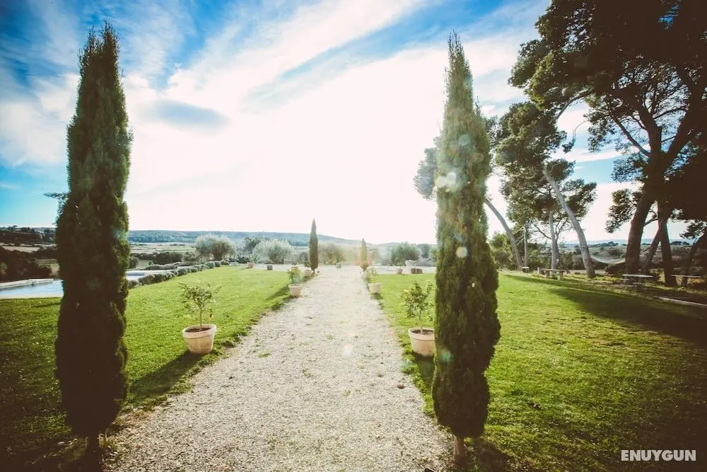 Domaine de Salente - Öne Çıkan Resim