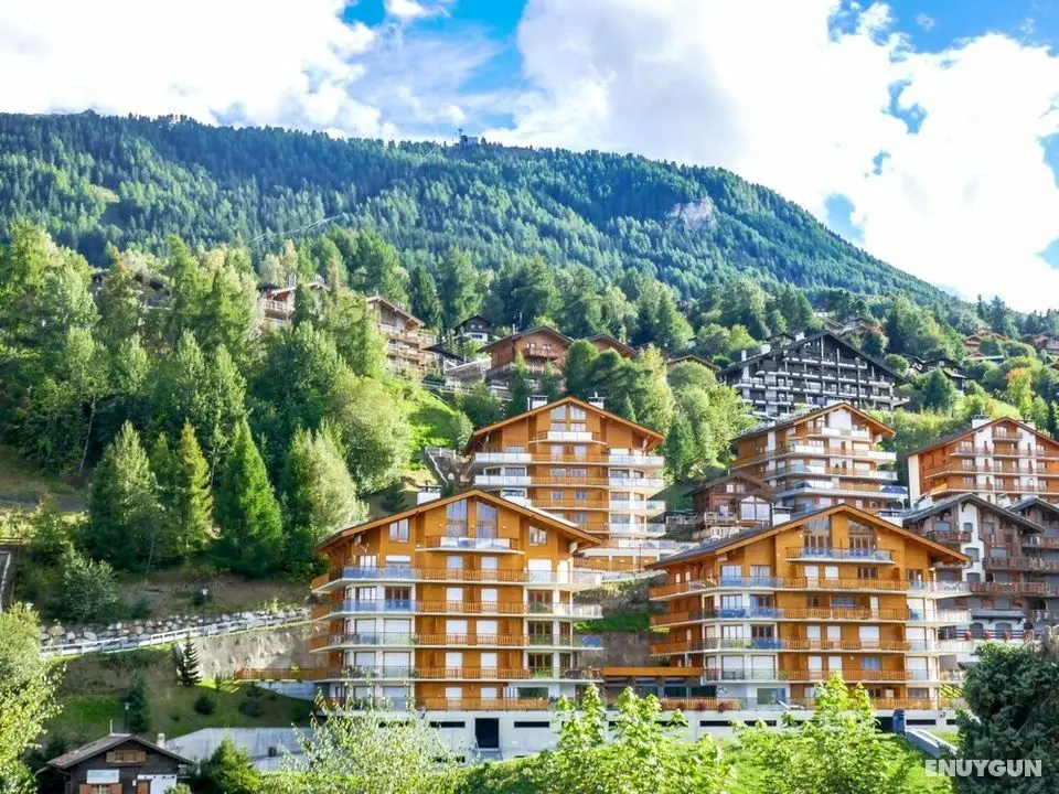 Domaine des Reines D3 Haute-nendaz - Oda