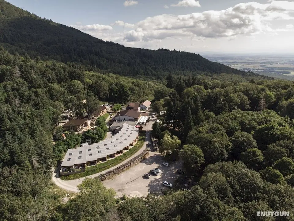 Domaine du Hirtz - Öne Çıkan Resim