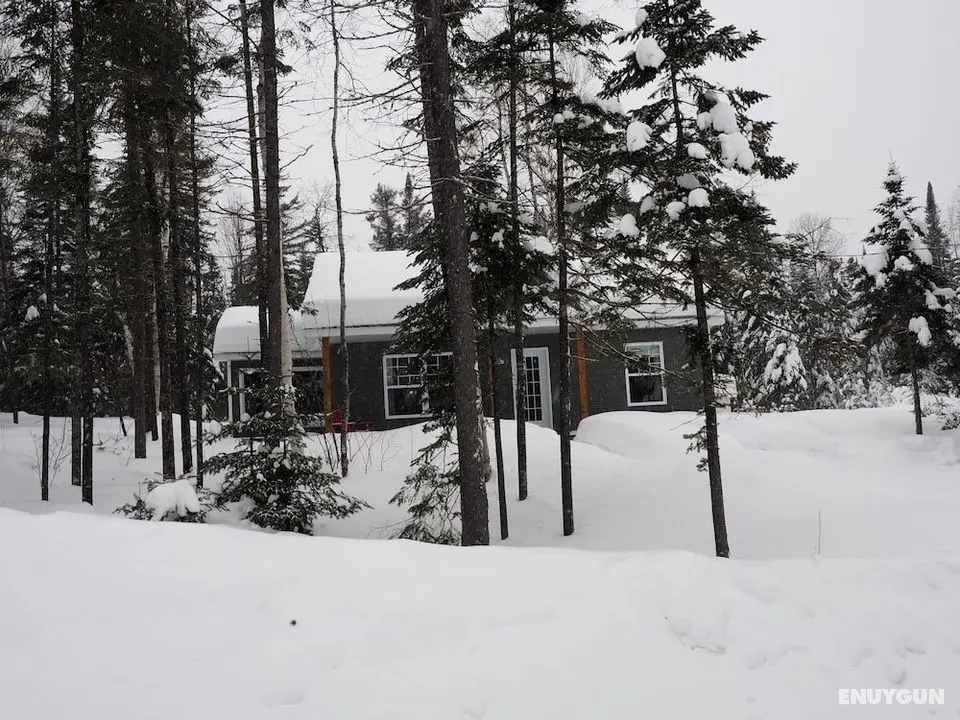 Domaine du parc de la forêt ouareau - Öne Çıkan Resim