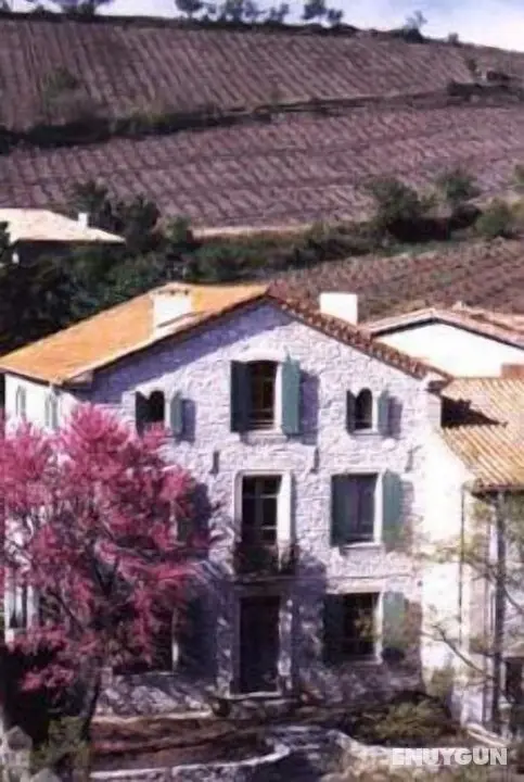 Domaine Grand Guilhem - Öne Çıkan Resim